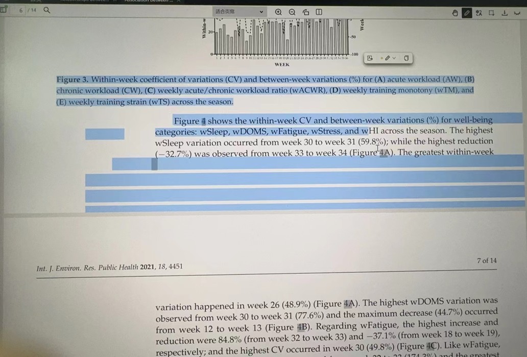 PDF Bad Layout
